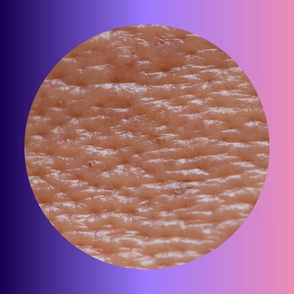 Oily & Enlarged Pores