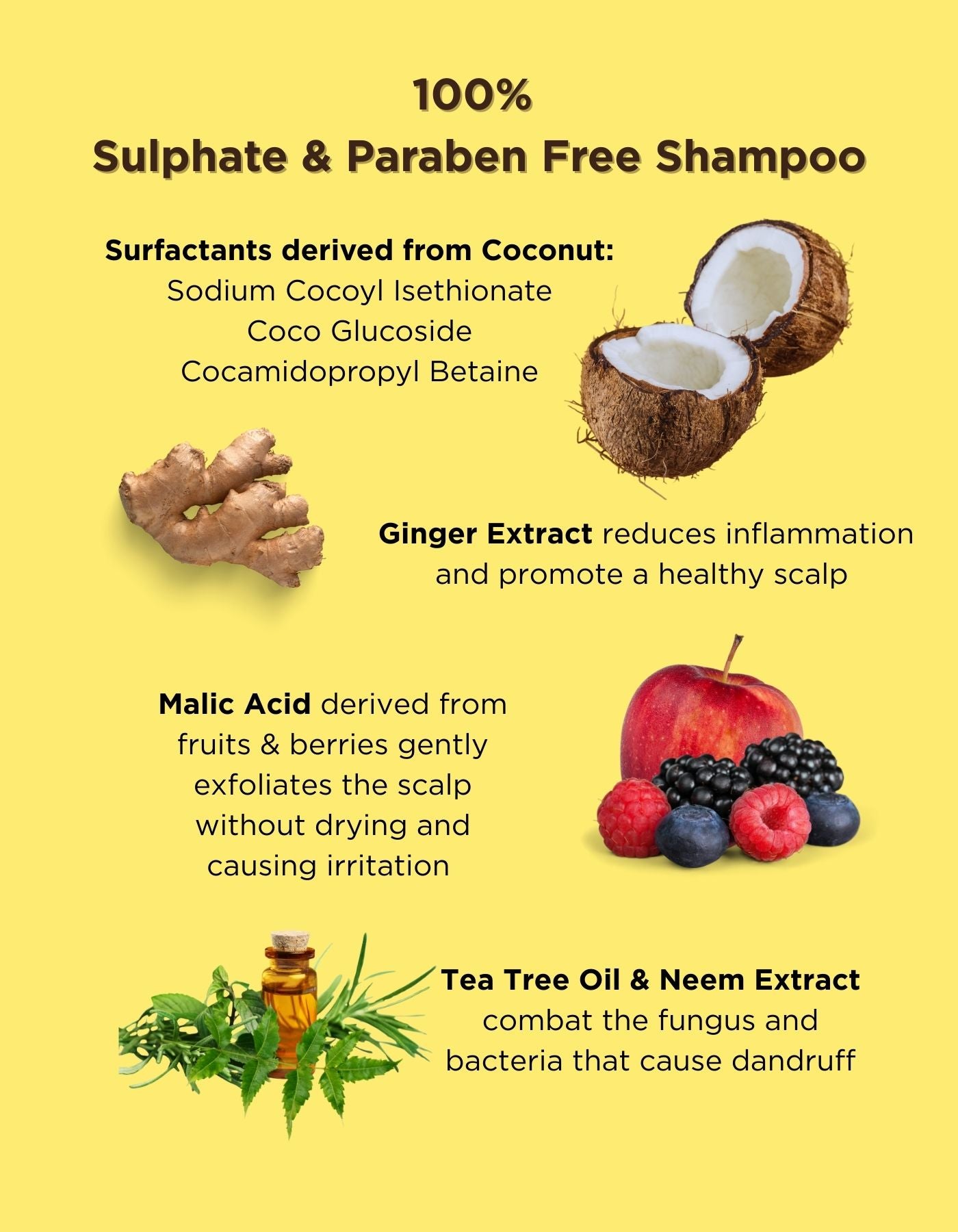 Anti-Dandruff Shampoo